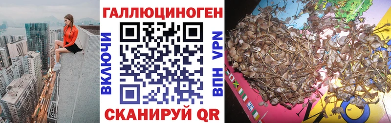 купить  сайты  Катав-Ивановск  Псилоцибиновые грибы GOLDEN TEACHER 